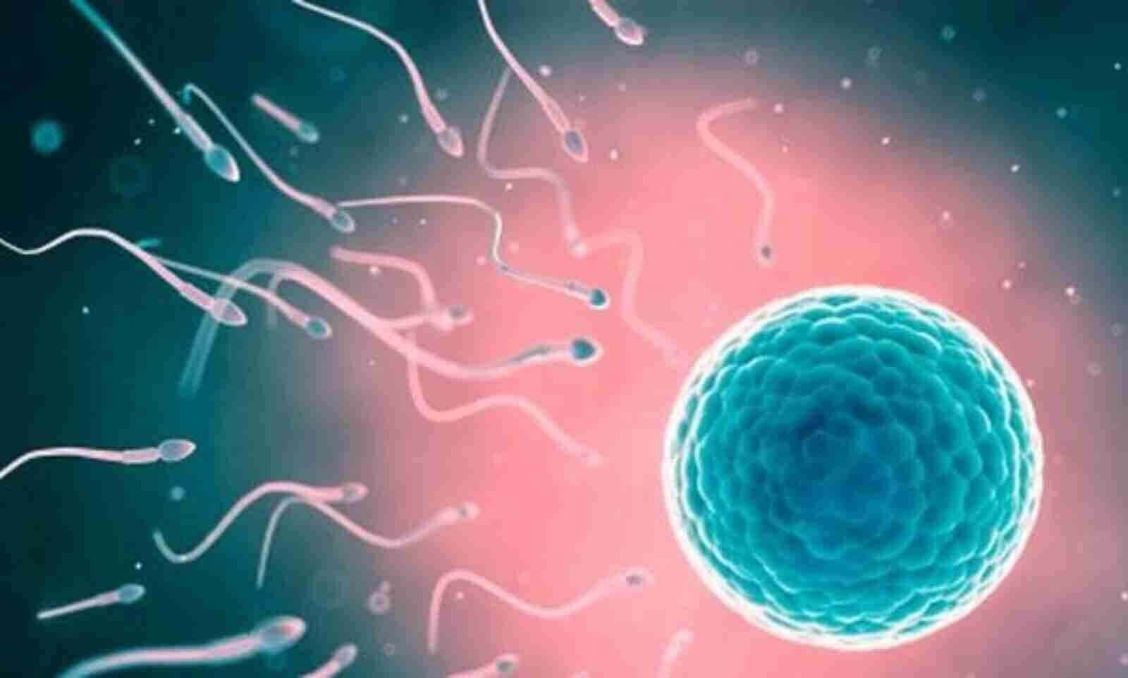 Best Fertility Doctor in Hyderabad