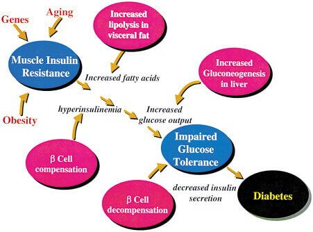 Top Endocrinologist in Hyderabad